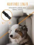 Headrest Dog Seat Belt