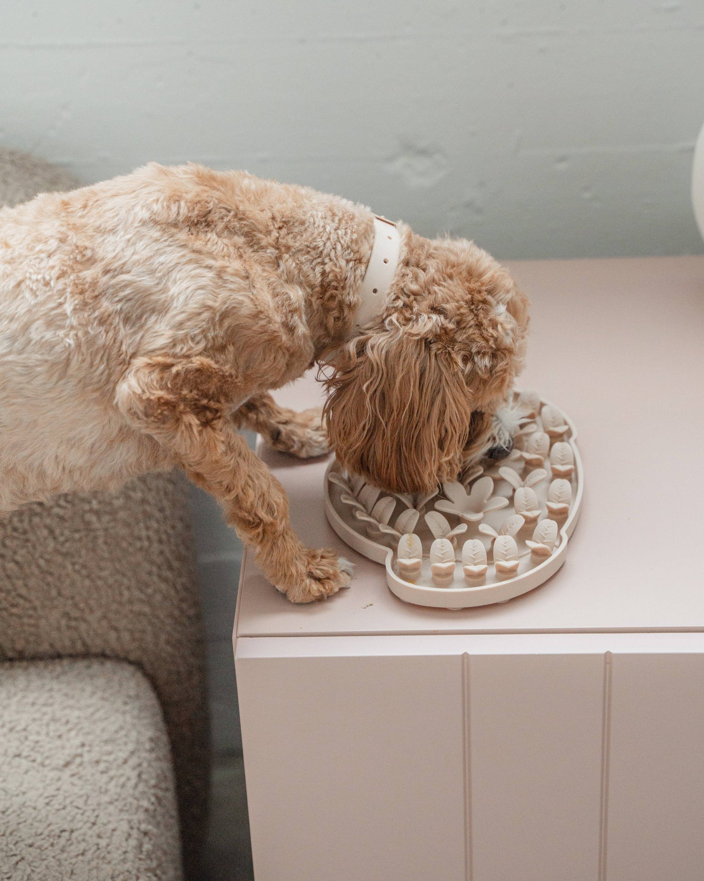 Nude Dog Head Enrichment Snuffle Mat