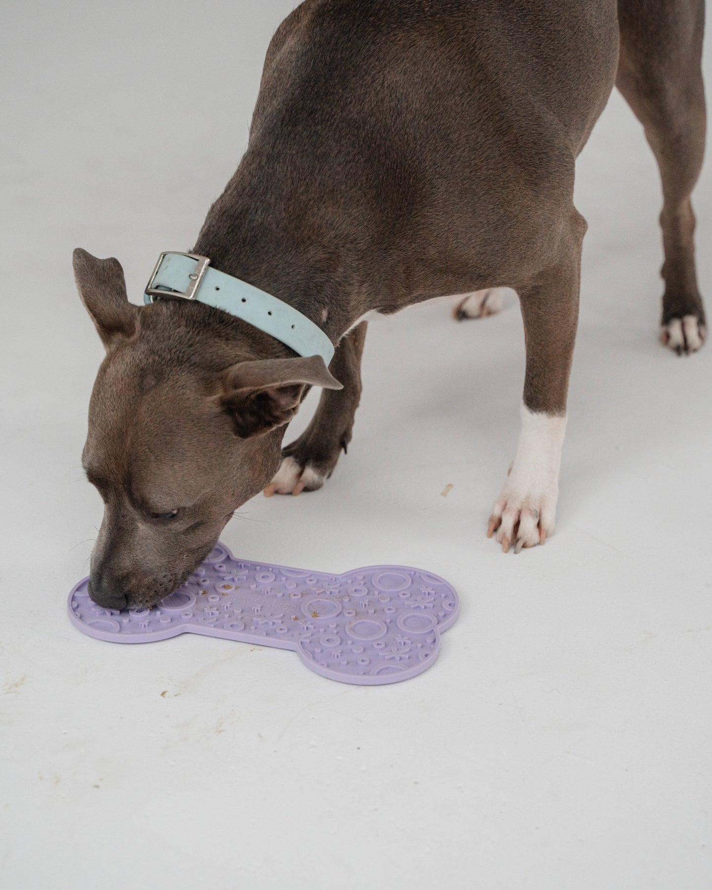 Lilac Dog Bone Enrichment Lick Mat