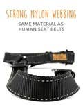 Headrest Dog Seat Belt