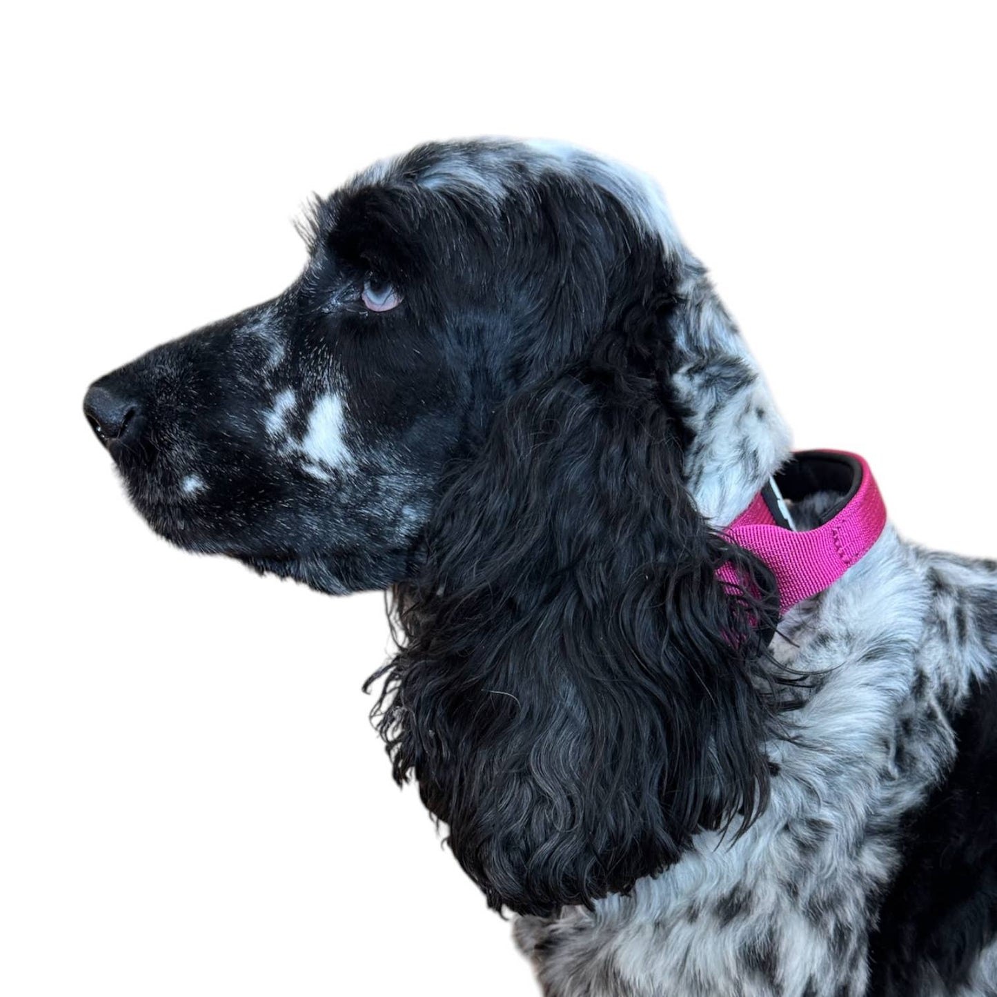 Pink Tactical Style Dog Collar