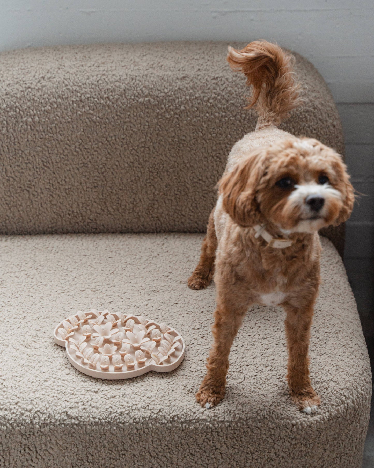 Nude Dog Head Enrichment Snuffle Mat