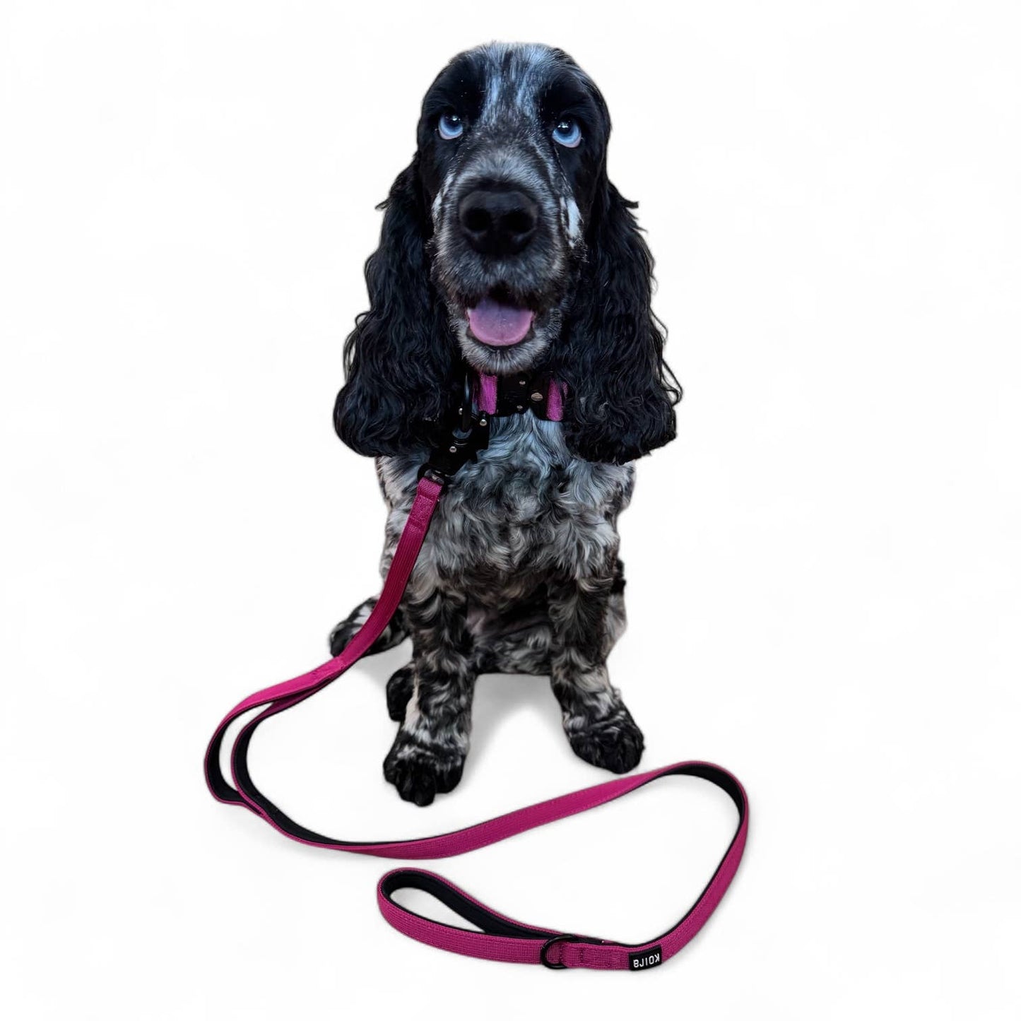 Pink Tactical Style Dog Collar