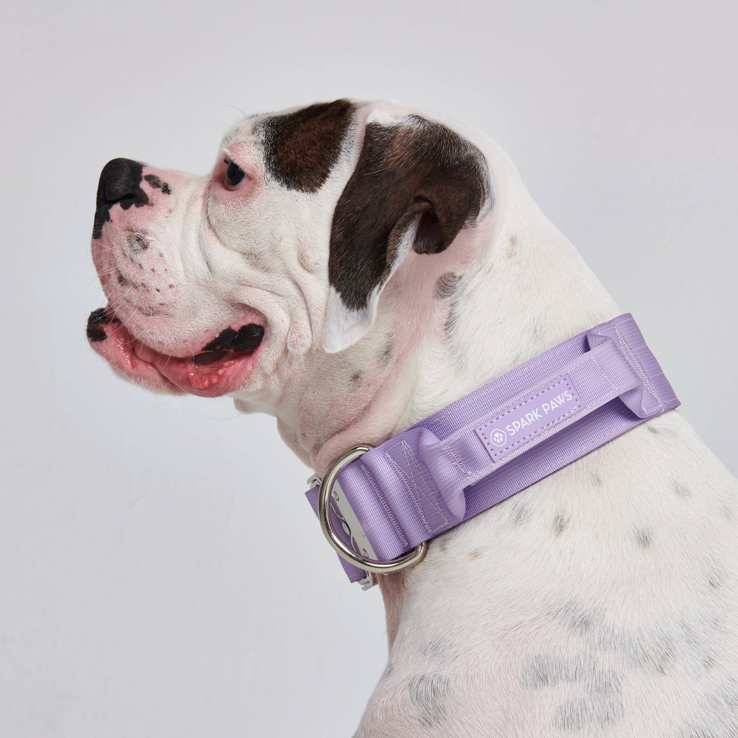 Tactical Dog Collar - Lilac (2"/5cm)