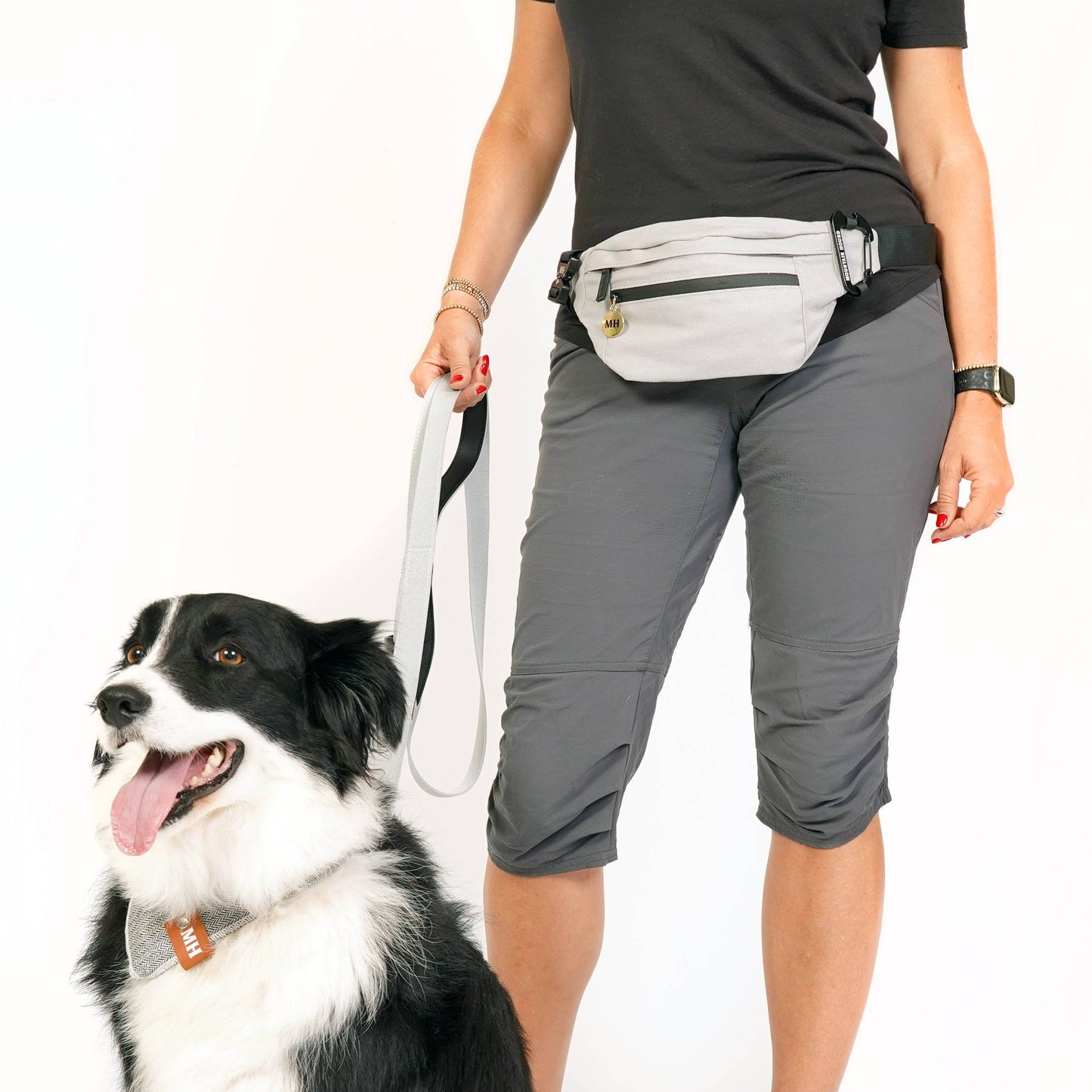 Rover Fixed Leash