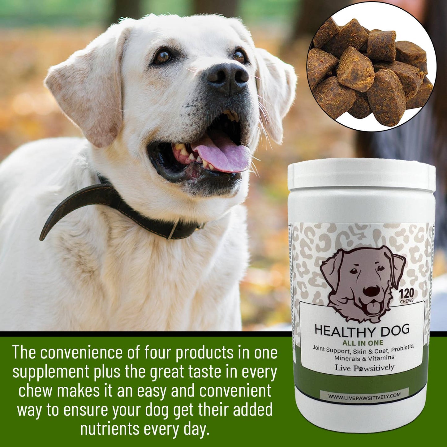Healthy Dog All in one Supplement dog chew, made in USA