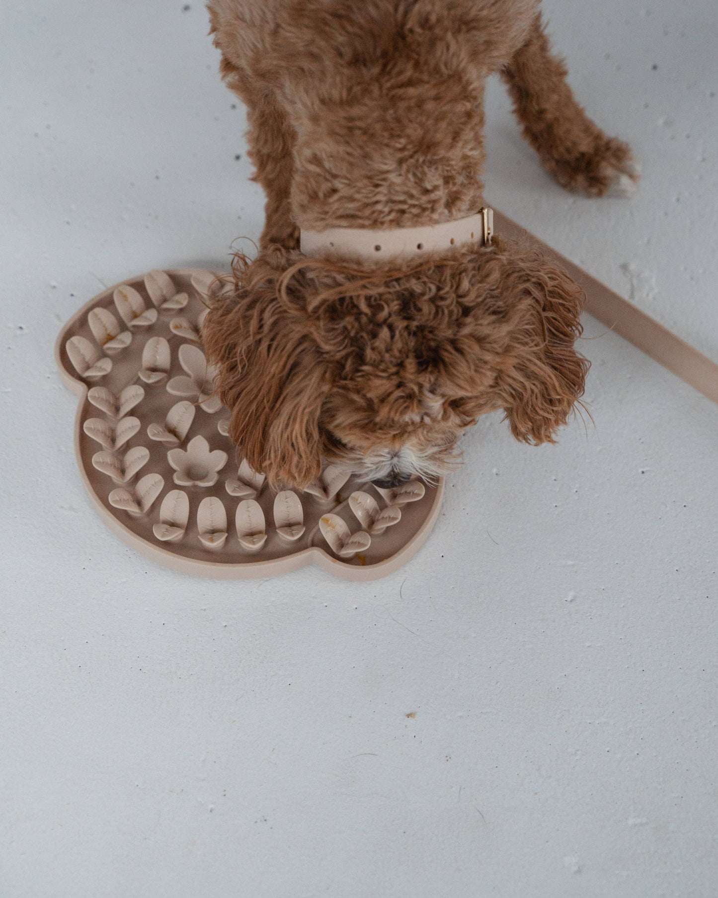 Nude Dog Head Enrichment Snuffle Mat