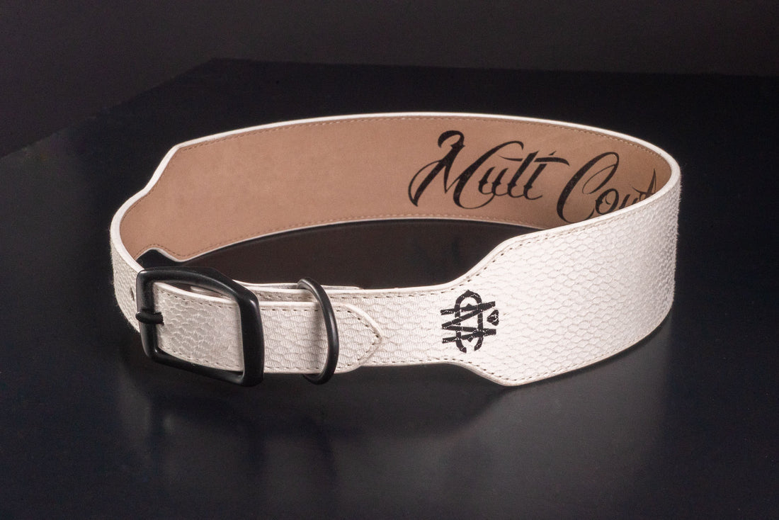 White Snake Leather