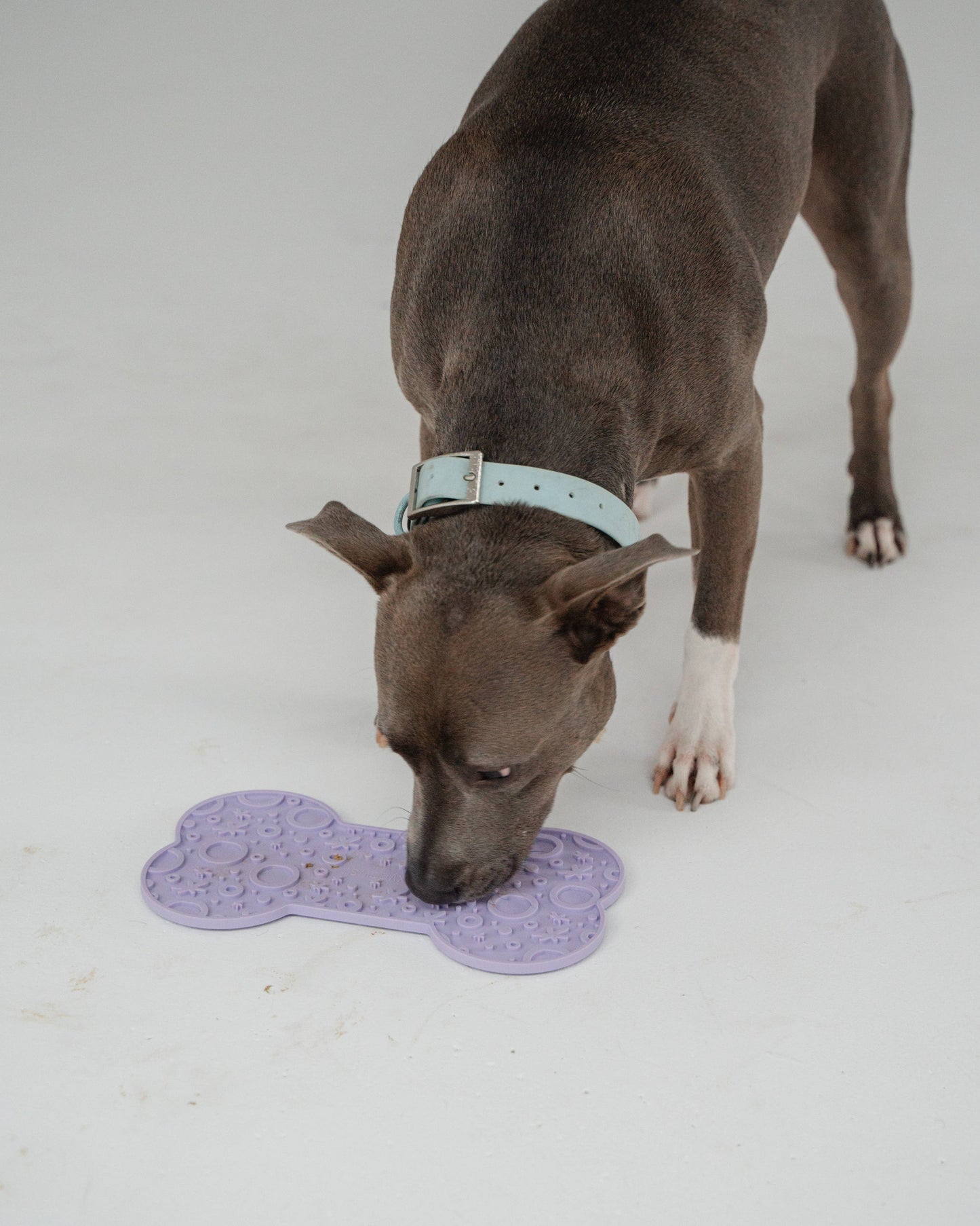 Lilac Dog Bone Enrichment Lick Mat