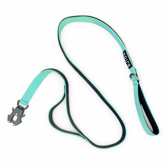 Mint Dual-Handle 5 ft Dog Leash