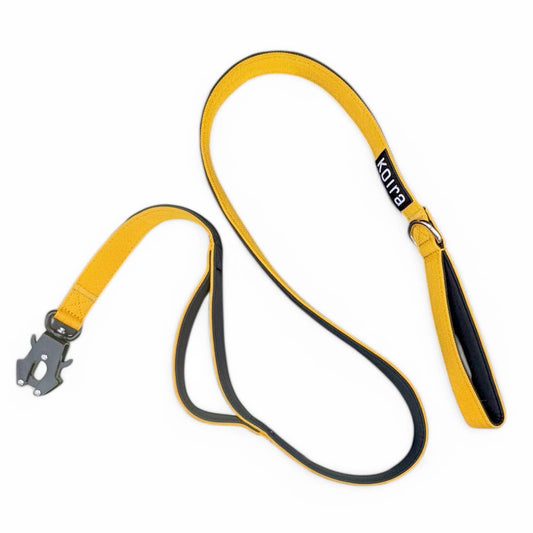 Yellow Dual-Handle 5 ft Dog Leash