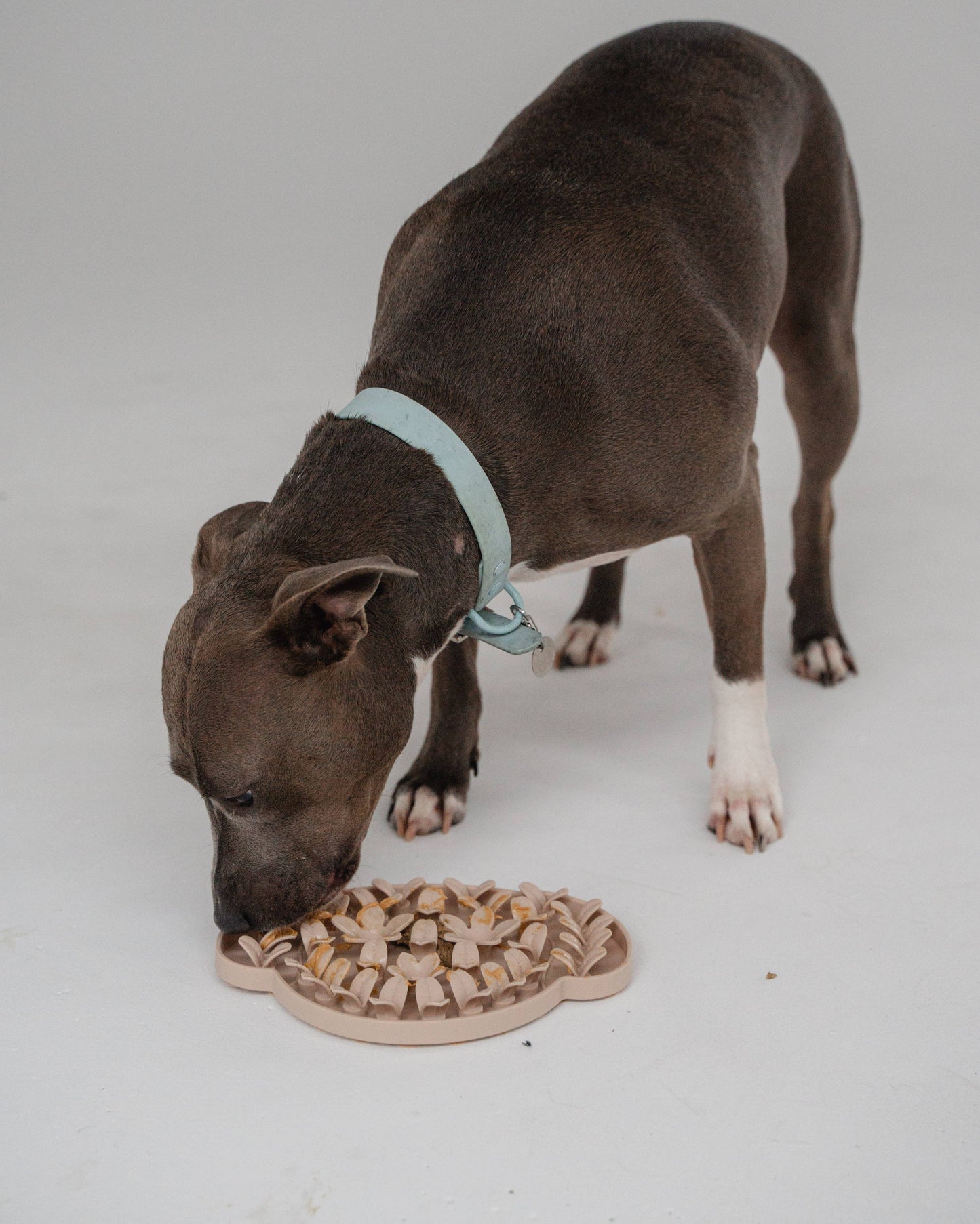 Nude Dog Head Enrichment Snuffle Mat